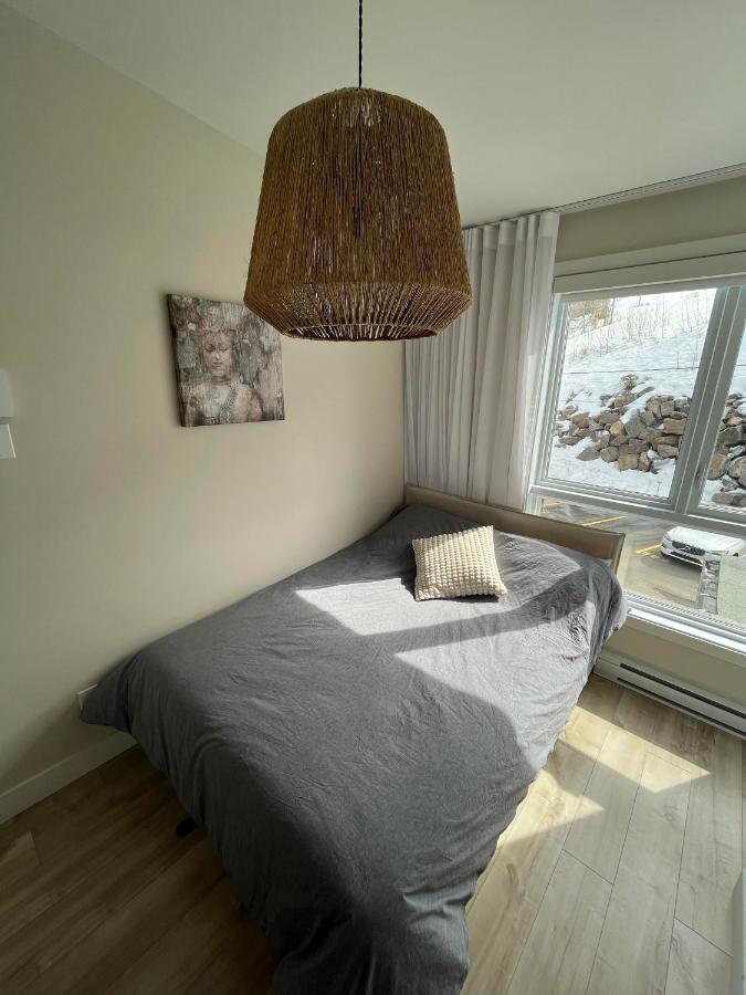 Le Riverain - Condo Neuf Au Bord De L'Eau Shawinigan Ngoại thất bức ảnh